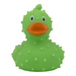 duck store san marino cactus