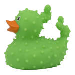 duck store san marino cactus 