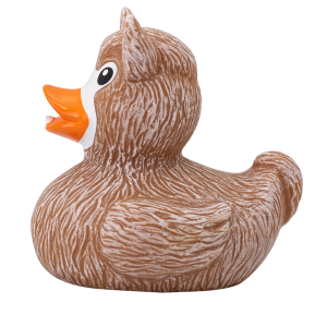 duck store san marino laureato 2