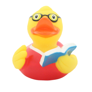 duck store san marino lettore insegnante 1