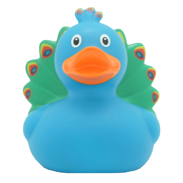duck store san marino pavone 1