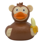 duck store san marino scimmia 1