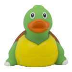 duck store san marino tartaruga 1