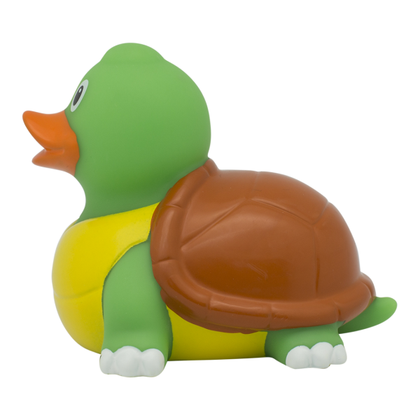 duck store san marino tartaruga 2