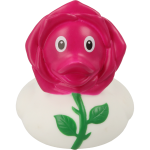 duck store san marino rosa 1